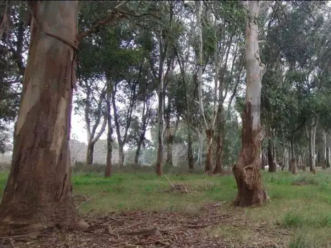 Terreno en Venta 100  mts Fondo