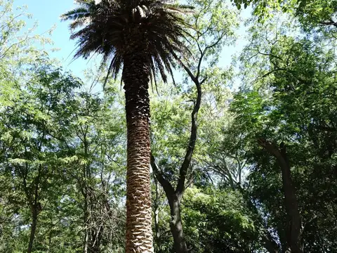 Terreno en Venta en Lobos, USD 1.400.000