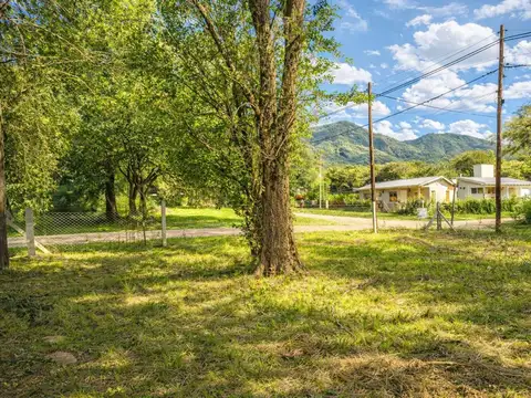 Cornelia Heinrich 1300