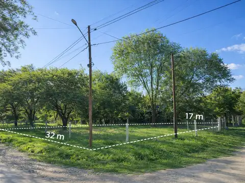 Cornelia Heinrich 1300