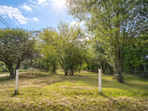 Terreno en Venta de 565,0 m2