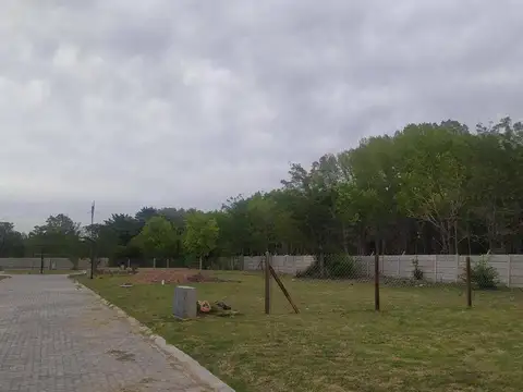 Terreno en Venta 10  mts Fondo