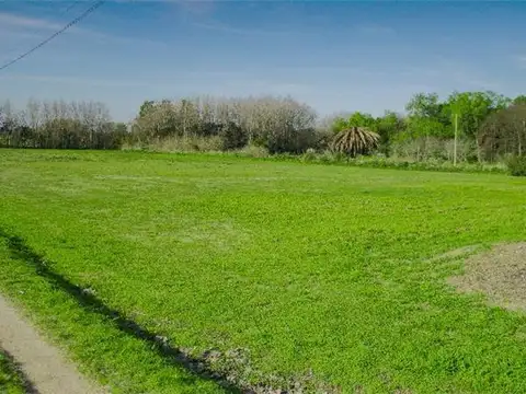 Campo en Venta Chacra