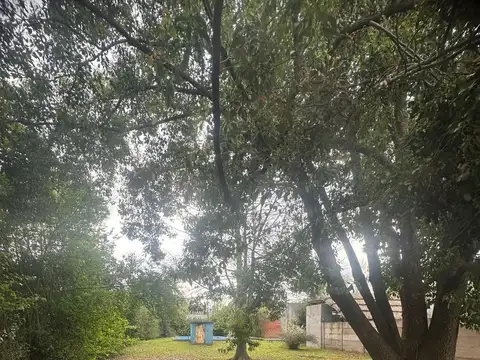 Terreno en Venta 40  mts Fondo