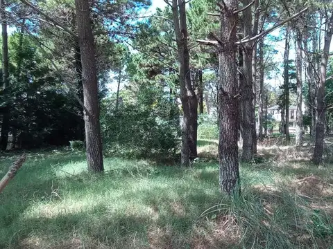 Terreno en Venta de 873,0 m2