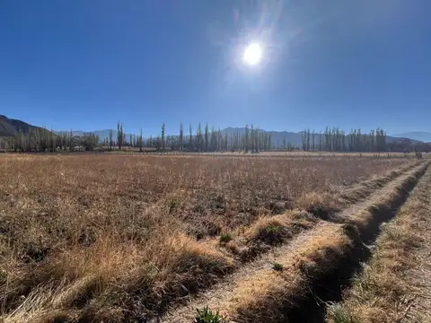 Terreno en Venta de 98883,0 m2