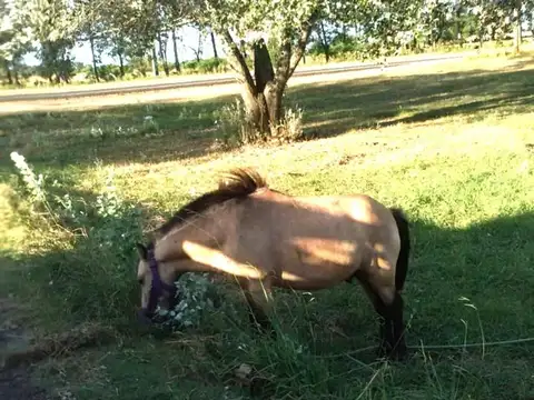 Zona Perdices, Entre Rios