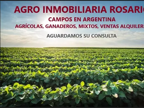 Rosario. Cafe En Venta Func 100