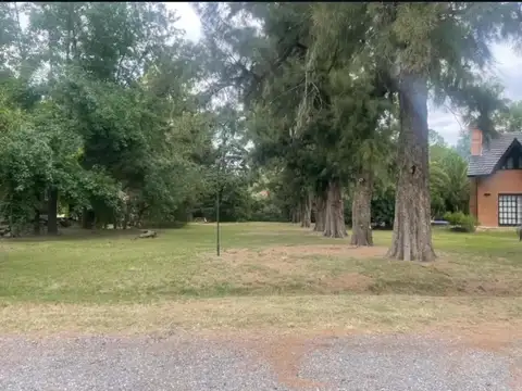 Camino General Belgrano