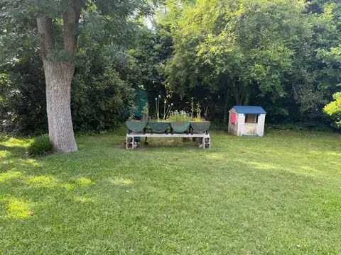 Claveles y Campanillas 100