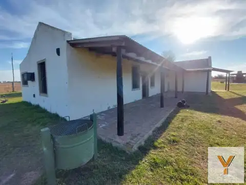 Chacra en Venta - 3 Dormitorios 2 Baños - 20000mts - Guamini - Laguna Alsina