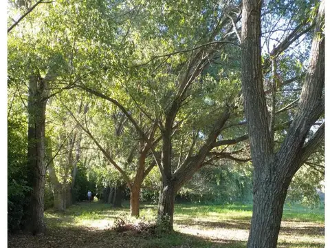 San Martin e/ French y Berutti