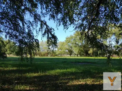 Terreno en venta - 4.216Mts2 - Cañuelas