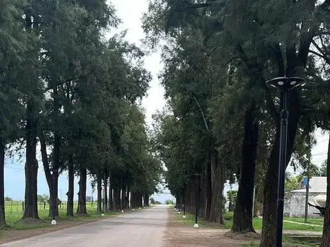 Santiago al 700 Estacion Diaz