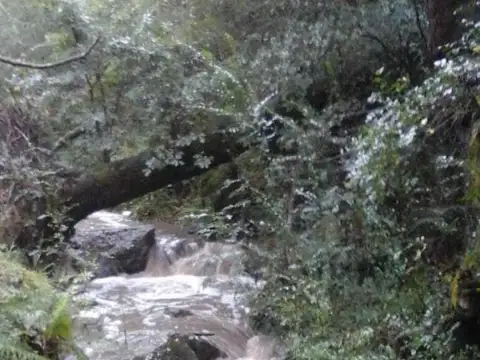 LOTE 15 MANZANA 143 , Piso 0