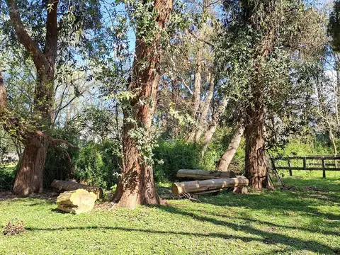 Parada Robles