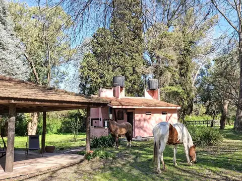 Lindísima quinta de 10.000 m2 en alquiler en Parada Robles  por 1 año