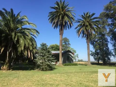 Campo en venta - 300.000Mts2 - Mercedes