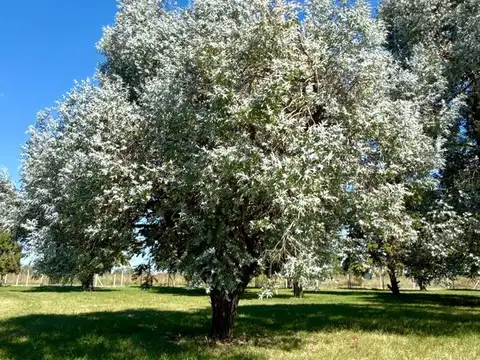 Terreno en Venta en Mirabosques Cardales, USD 21.000