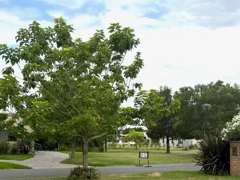 Avenida General San Martin 2400