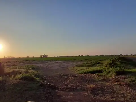 Se venden 6 hectareas de campo