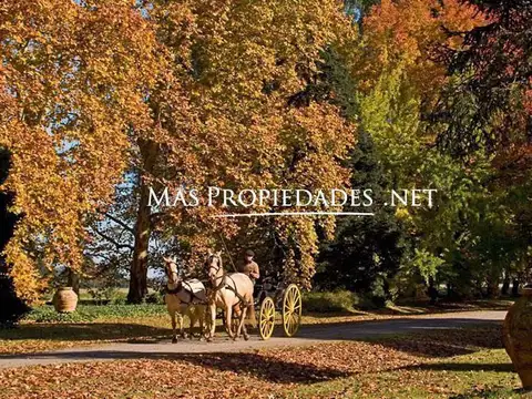 Terreno en Venta de 1294,0 m2