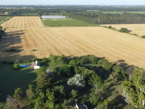 Campo en Venta con Alambrado