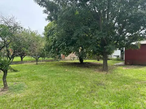 3 Lotes con forestación de 10 x 40 mtrs cada uno - Venta unificada, posibilidad de financiación...