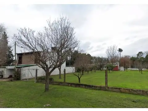 3 Lotes con forestación de 10 x 40 mtrs cada uno - Venta unificada, posibilidad de financiación...