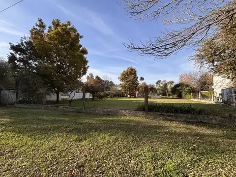 3 Lotes con forestación de 10 x 40 mtrs cada uno - Venta unificada, posibilidad de financiación...