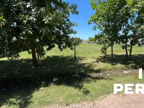 Arroyo Durazno