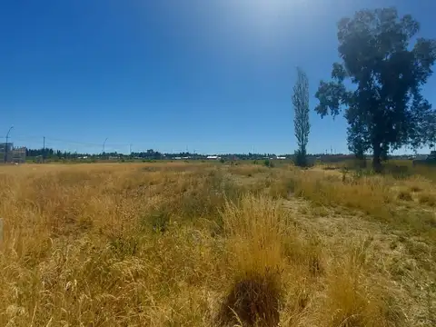 REMAX VENDE TERRENO EN LA MARTINA II GENERAL ROCA