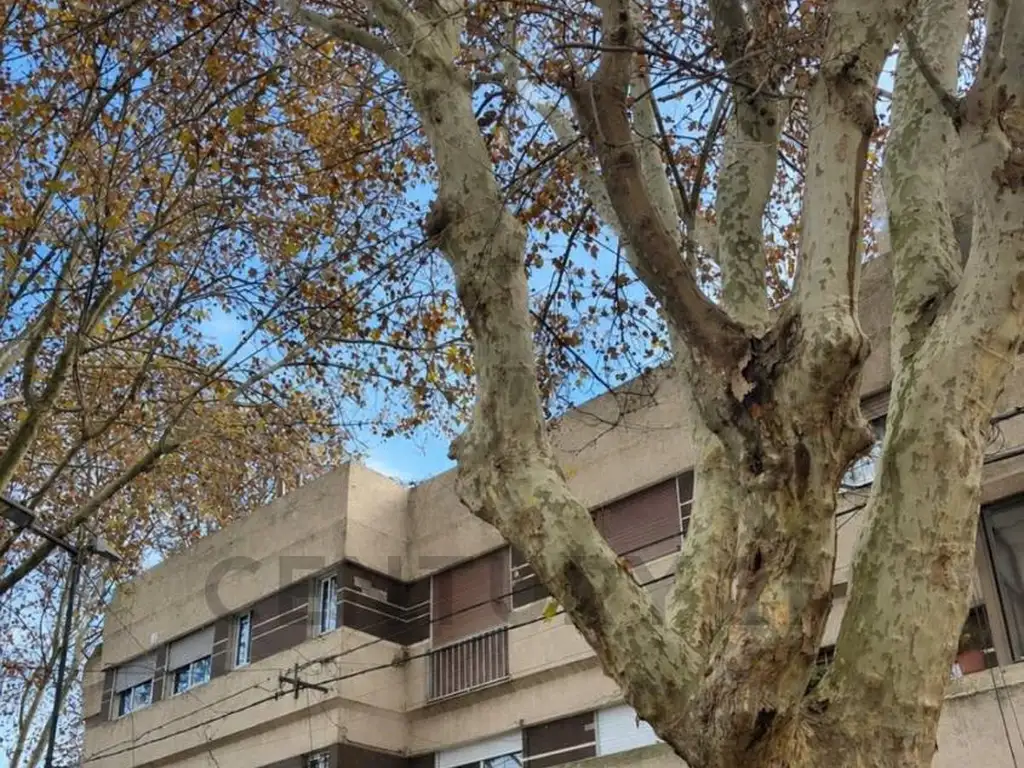 61 Y 116 100, Piso 0