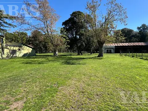 VENTA DE CAMPO – 200 HECTÁREAS – PARTIDO DE BARADERO, RUTA NACIONAL Y AUTOPISTA N.º 9,