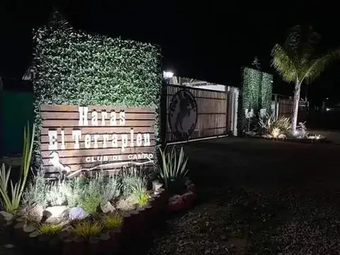 haras del terraplen