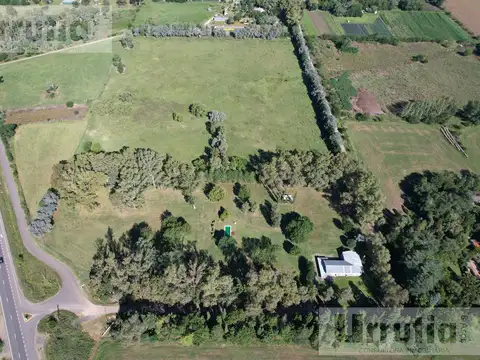 Terreno en Venta de 100000,0 m2