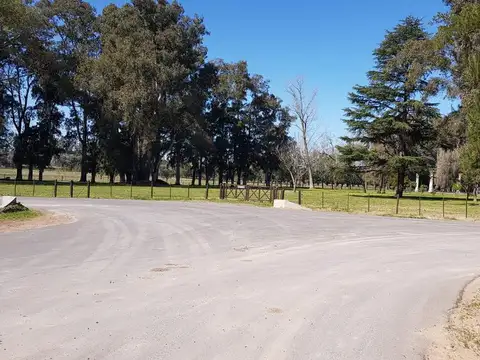 Terreno en Venta de 100000,0 m2