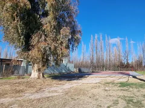 Chivilcoy 8800