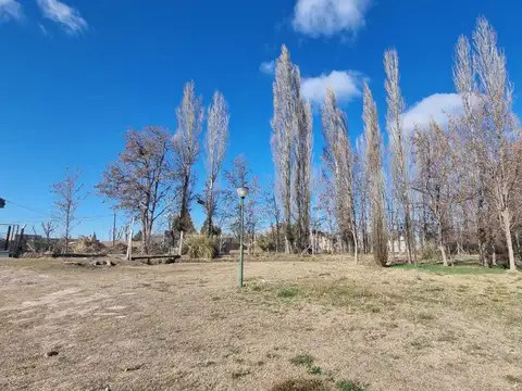Chivilcoy 8800