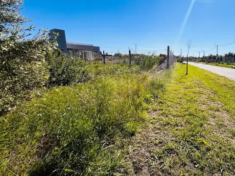 LOTE EN VENTA - CARDALES CHICO