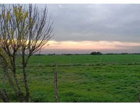 31°34'37"S 59°43'09"W