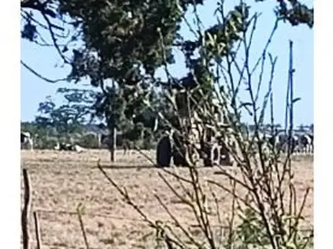  Oportunidad Única en Entre Ríos*Hasenkamp!  