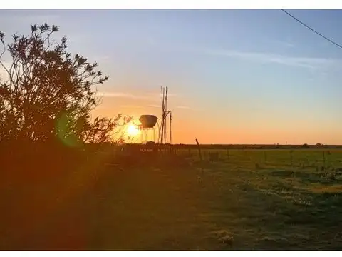 31°34'37"S 59°43'09"W