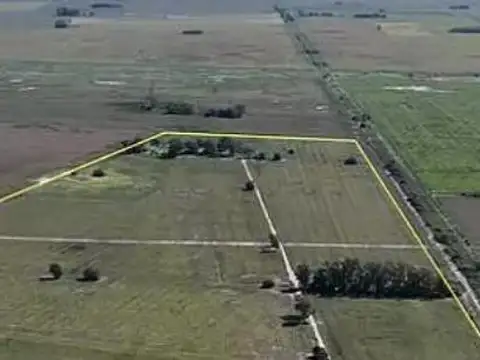 Terreno en Venta en Villa Ruiz, USD 265.000
