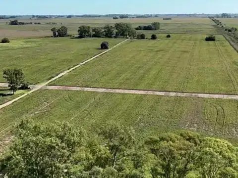 Terreno en Venta de 5,0 m2
