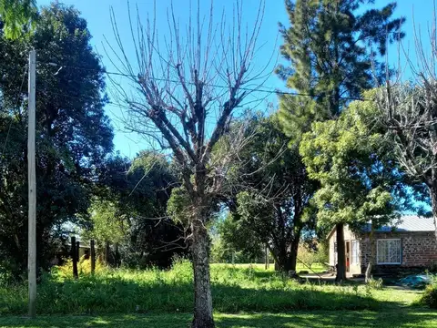 Ruta 11