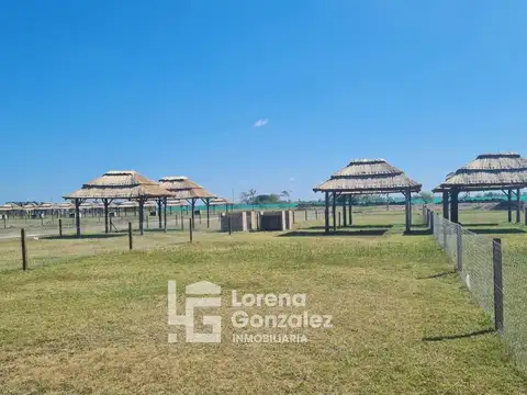 Mar Del Plata