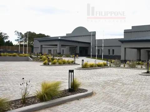 olivero girondo 1300