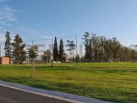 Terreno en Venta 16  mts Frente