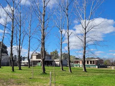 Lote Azzurra - Escobar